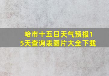 哈市十五日天气预报15天查询表图片大全下载