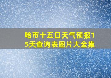 哈市十五日天气预报15天查询表图片大全集