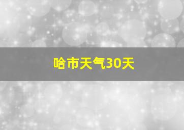 哈市天气30天