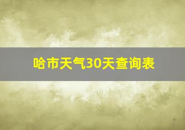 哈市天气30天查询表