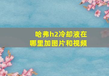 哈弗h2冷却液在哪里加图片和视频