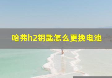 哈弗h2钥匙怎么更换电池