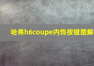 哈弗h6coupe内饰按键图解