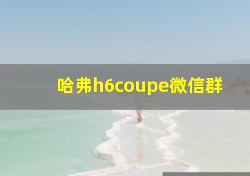 哈弗h6coupe微信群