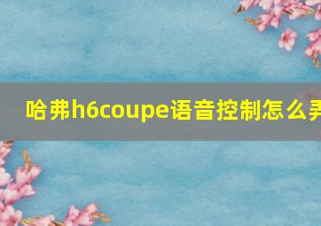 哈弗h6coupe语音控制怎么弄