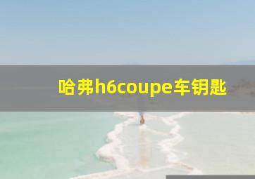 哈弗h6coupe车钥匙