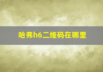 哈弗h6二维码在哪里