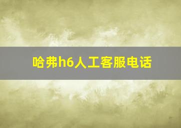 哈弗h6人工客服电话