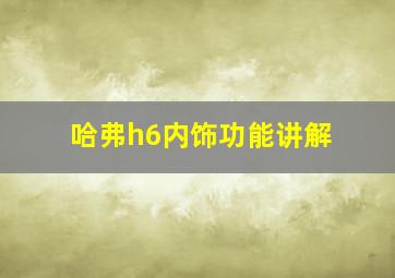 哈弗h6内饰功能讲解