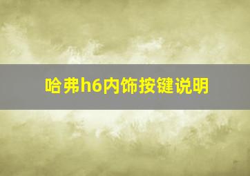 哈弗h6内饰按键说明