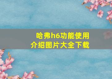 哈弗h6功能使用介绍图片大全下载