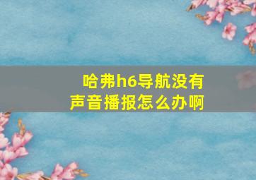 哈弗h6导航没有声音播报怎么办啊