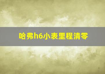 哈弗h6小表里程清零