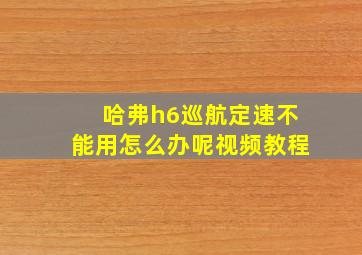 哈弗h6巡航定速不能用怎么办呢视频教程