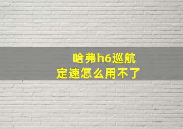 哈弗h6巡航定速怎么用不了