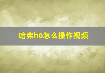 哈弗h6怎么操作视频