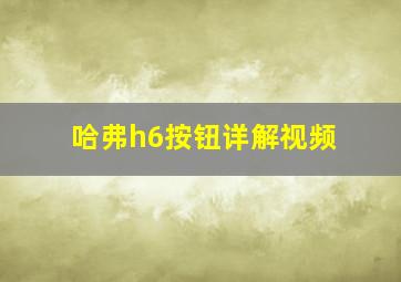 哈弗h6按钮详解视频