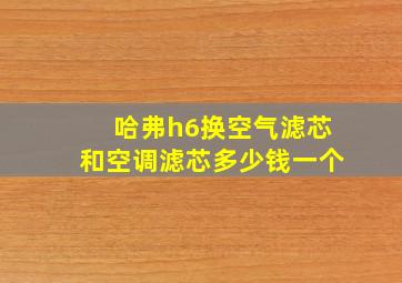 哈弗h6换空气滤芯和空调滤芯多少钱一个