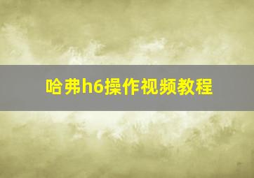 哈弗h6操作视频教程