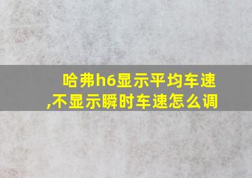 哈弗h6显示平均车速,不显示瞬时车速怎么调