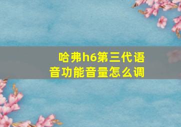 哈弗h6第三代语音功能音量怎么调