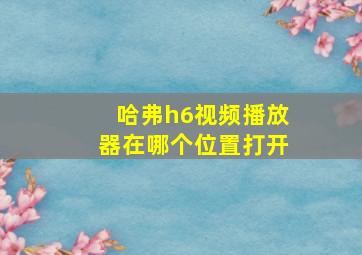 哈弗h6视频播放器在哪个位置打开