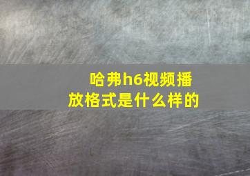 哈弗h6视频播放格式是什么样的