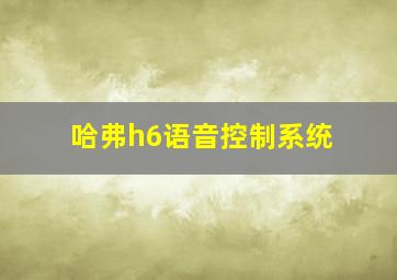 哈弗h6语音控制系统