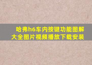 哈弗h6车内按键功能图解大全图片视频播放下载安装