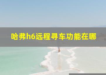 哈弗h6远程寻车功能在哪