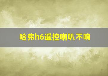 哈弗h6遥控喇叭不响