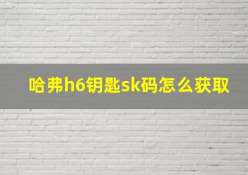 哈弗h6钥匙sk码怎么获取