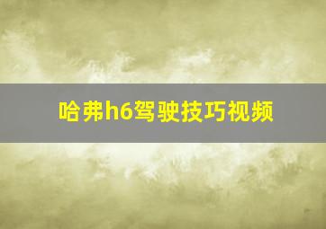 哈弗h6驾驶技巧视频