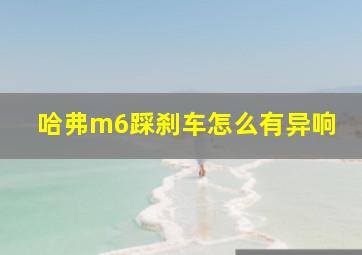 哈弗m6踩刹车怎么有异响