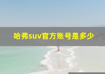 哈弗suv官方账号是多少