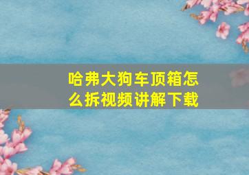 哈弗大狗车顶箱怎么拆视频讲解下载