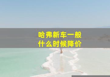 哈弗新车一般什么时候降价