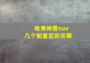 哈弗神兽suv几个配置区别在哪