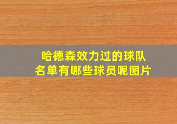 哈德森效力过的球队名单有哪些球员呢图片