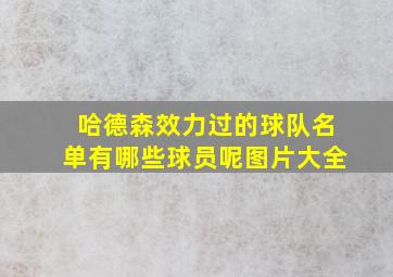 哈德森效力过的球队名单有哪些球员呢图片大全