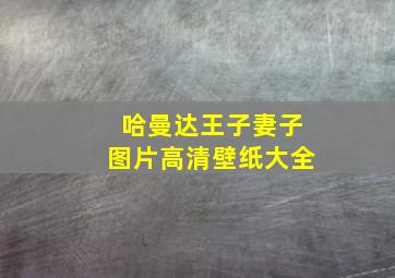 哈曼达王子妻子图片高清壁纸大全