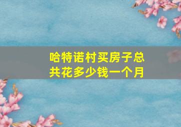 哈特诺村买房子总共花多少钱一个月