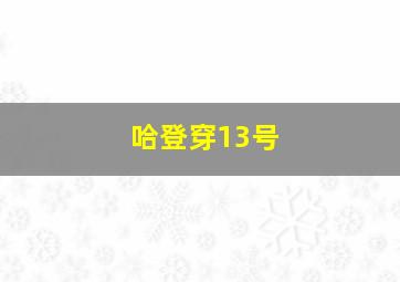 哈登穿13号