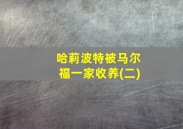 哈莉波特被马尔福一家收养(二)