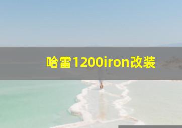 哈雷1200iron改装