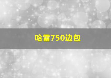 哈雷750边包