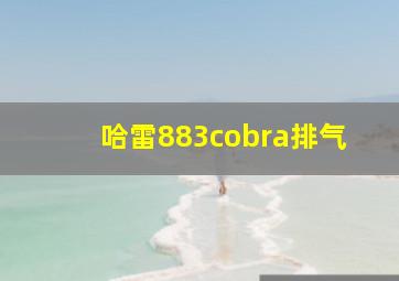 哈雷883cobra排气