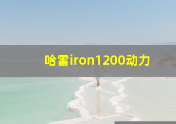 哈雷iron1200动力