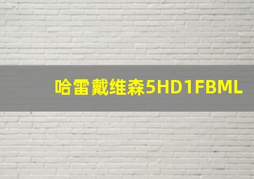 哈雷戴维森5HD1FBML