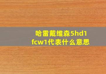 哈雷戴维森5hd1fcw1代表什么意思